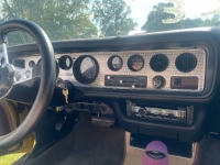 1978 Pontiac Firebird for sale in Michigan (ID-123588)