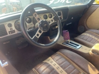 1978 Pontiac Firebird for sale in Michigan (ID-123588)