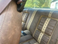 1978 Pontiac Firebird for sale in Michigan (ID-123588)
