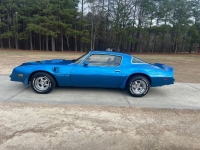 1978 Pontiac Firebird for sale in Michigan (ID-124499)