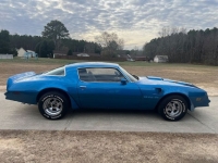 1978 Pontiac Firebird for sale in Michigan (ID-124499)
