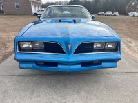 1978 Pontiac Firebird for sale in Michigan (ID-124499)