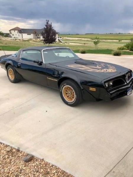 1978 Pontiac Firebird for sale in Michigan (ID-126431) 1978 Pontiac Firebird for sale in Michigan (ID-126431)