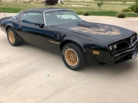 1978 Pontiac Firebird for sale in Michigan (ID-126431)