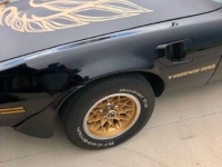 1978 Pontiac Firebird for sale in Michigan (ID-126431)