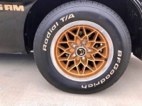 1978 Pontiac Firebird for sale in Michigan (ID-126431)