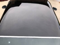 1978 Pontiac Firebird for sale in Michigan (ID-126431)
