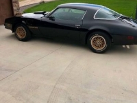 1978 Pontiac Firebird for sale in Michigan (ID-126431)