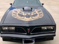 1978 Pontiac Firebird for sale in Michigan (ID-126431)