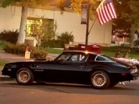1978 Pontiac Firebird for sale in Michigan (ID-126431)