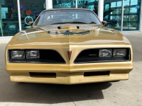 1978 Pontiac Firebird for sale in Riverhead, New York (ID-126675)