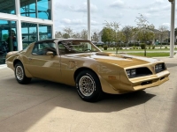 1978 Pontiac Firebird for sale in Riverhead, New York (ID-126675)