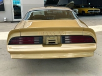 1978 Pontiac Firebird for sale in Riverhead, New York (ID-126675)