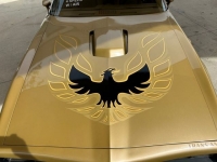 1978 Pontiac Firebird for sale in Riverhead, New York (ID-126675)