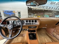 1978 Pontiac Firebird for sale in Riverhead, New York (ID-126675)