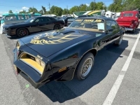 1978 Pontiac Firebird for sale in Addison, Illinois (ID-128741)
