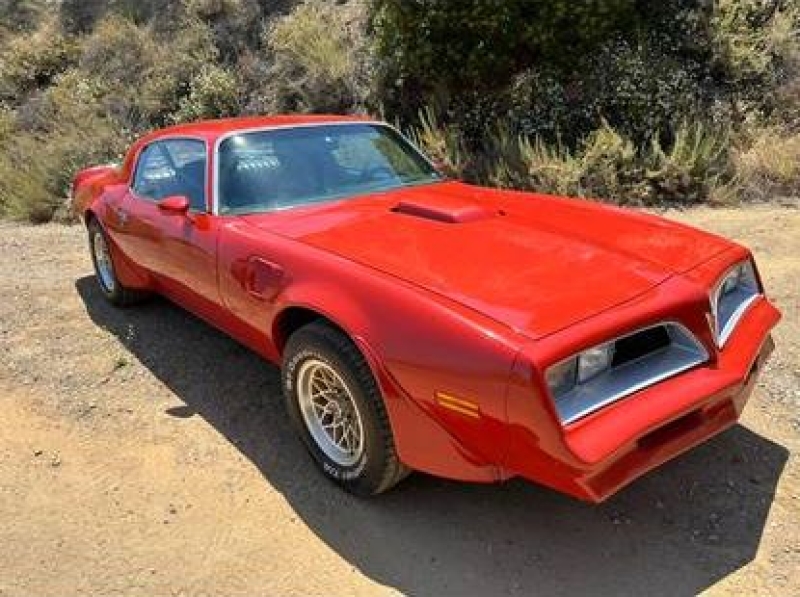 1978 Pontiac Firebird for sale in Michigan (ID-131636)