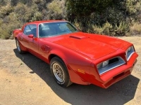 1978 Pontiac Firebird for sale in Michigan (ID-131636)