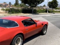 1978 Pontiac Firebird for sale in Michigan (ID-131636)