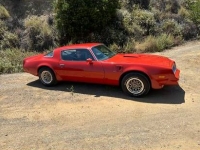 1978 Pontiac Firebird for sale in Michigan (ID-131636)
