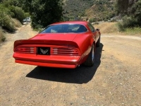 1978 Pontiac Firebird for sale in Michigan (ID-131636)
