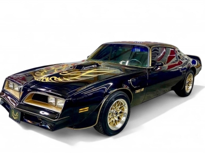 1978 Pontiac Firebird for sale