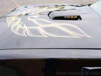 1978 Pontiac Firebird for sale in Farmingdale, New York (ID-143088)