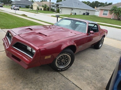 1978 Pontiac Firebird for sale