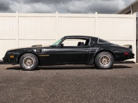1978 Pontiac Firebird for sale in Michigan (ID-145104)