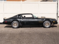 1978 Pontiac Firebird for sale in Michigan (ID-145104)