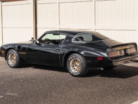 1978 Pontiac Firebird for sale in Michigan (ID-145104)