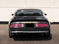 1978 Pontiac Firebird for sale in Michigan (ID-145104)