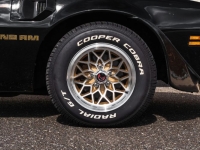 1978 Pontiac Firebird for sale in Michigan (ID-145104)