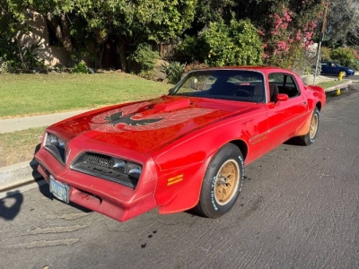 1978 Pontiac Firebird for sale