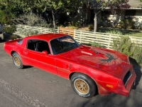 1978 Pontiac Firebird for sale in Michigan (ID-145799)