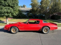 1978 Pontiac Firebird for sale in Michigan (ID-145799)