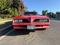 1978 Pontiac Firebird for sale in Michigan (ID-145799)