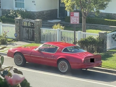 1978 Pontiac Firebird for sale