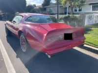 1978 Pontiac Firebird for sale in Michigan (ID-145962)