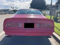 1978 Pontiac Firebird for sale in Michigan (ID-145962)