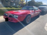 1978 Pontiac Firebird for sale in Michigan (ID-145962)