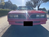 1978 Pontiac Firebird for sale in Michigan (ID-145962)