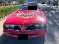 1978 Pontiac Firebird for sale in Michigan (ID-145962)