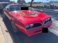 1978 Pontiac Firebird for sale in Michigan (ID-145962)