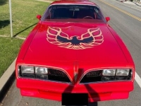1978 Pontiac Firebird for sale in Michigan (ID-145962)