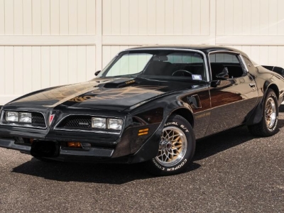 1978 Pontiac Firebird for sale
