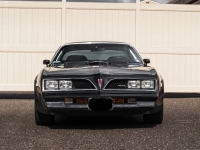 1978 Pontiac Firebird for sale in Michigan (ID-155930)