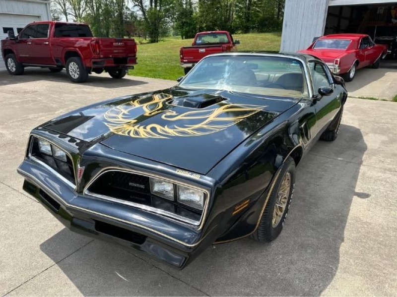 1978 Pontiac Firebird for sale in Michigan (ID-163604)