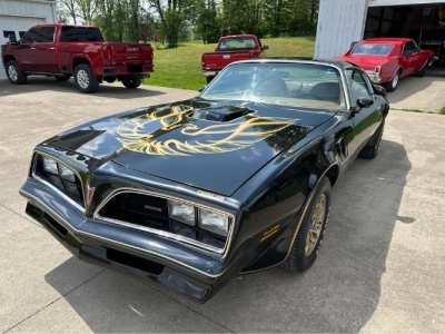 1978 Pontiac Firebird for sale