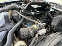 1978 Pontiac Firebird for sale in Michigan (ID-163604)